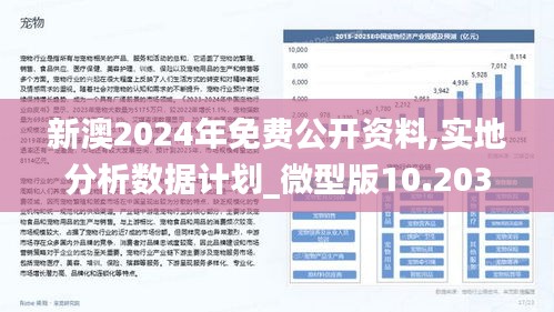 2025新澳最新版精准特,的警惕虚假宣传-全面释义、解释落实